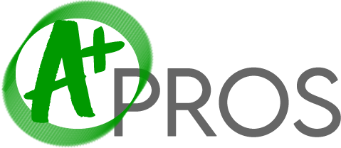 Pavers Repair Pros