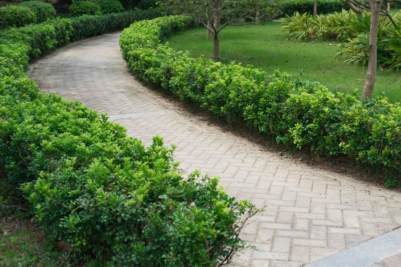 Pathway Pavers
